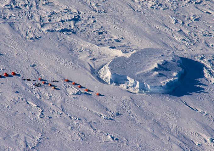 Emperor Penguins