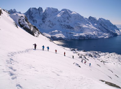 Christmas in Antarctica